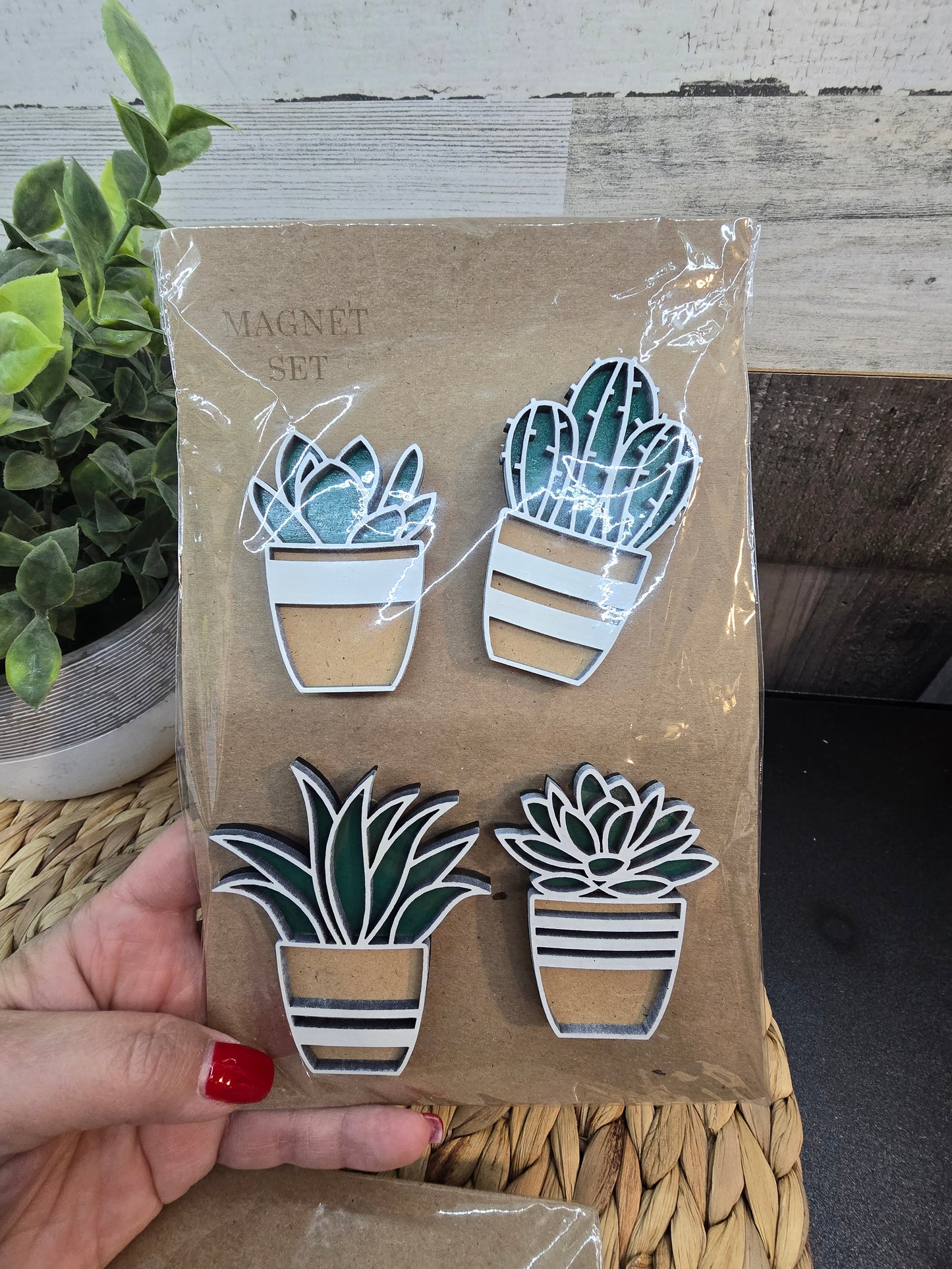 Succulent Magnet Set – Laser‑Cut Wood Fridge Magnets | Cute Plant Decor for Home & Office