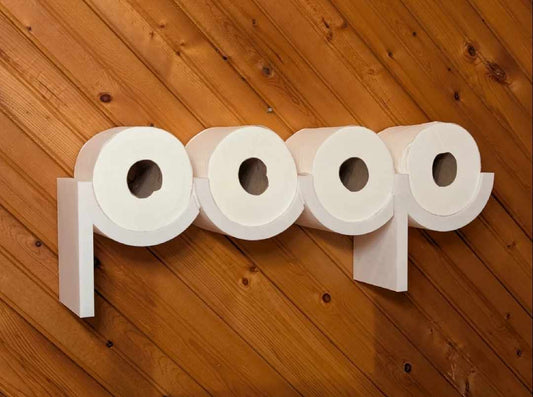 Toilet paper holder