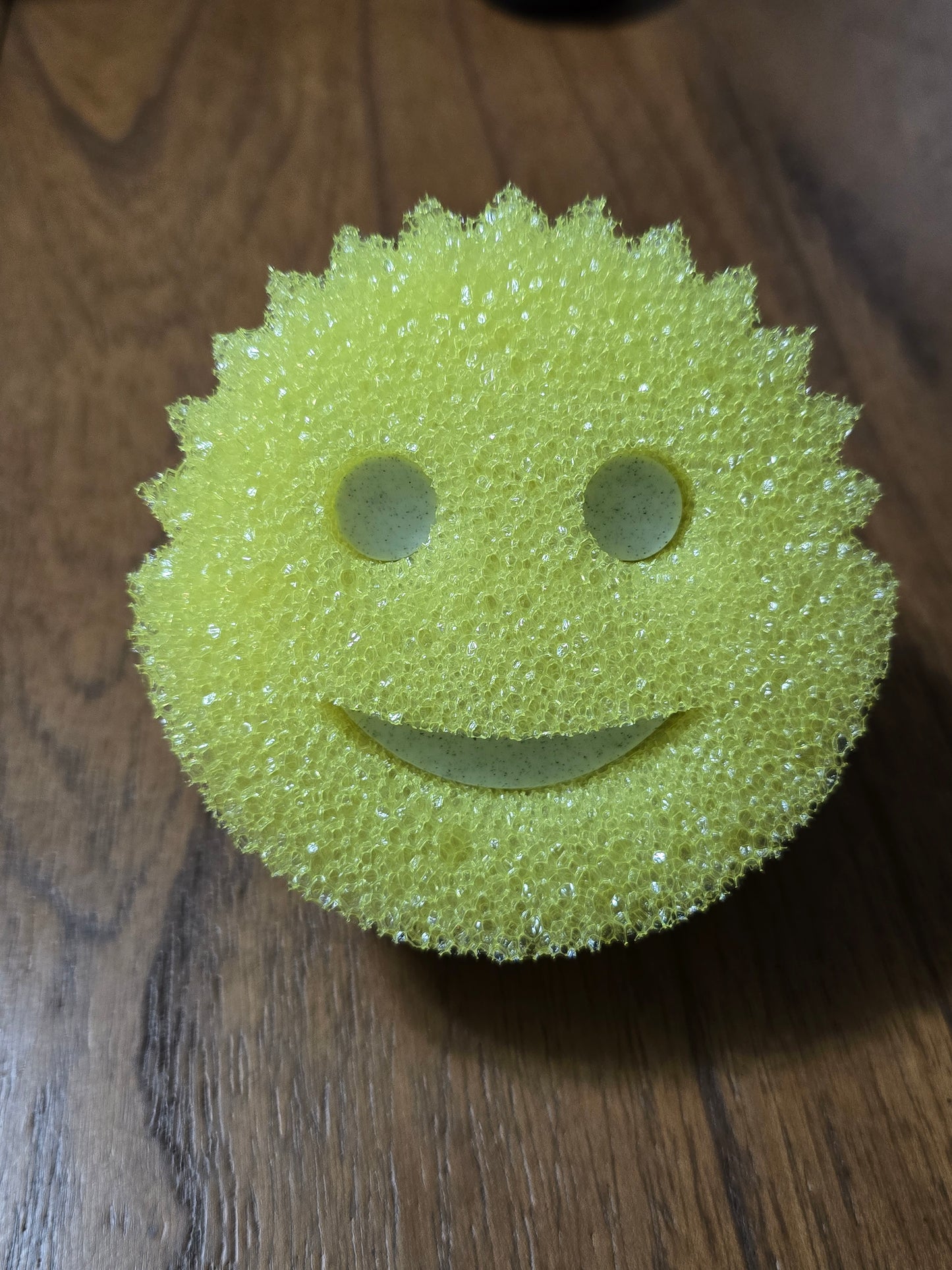Scrub Daddy Holder