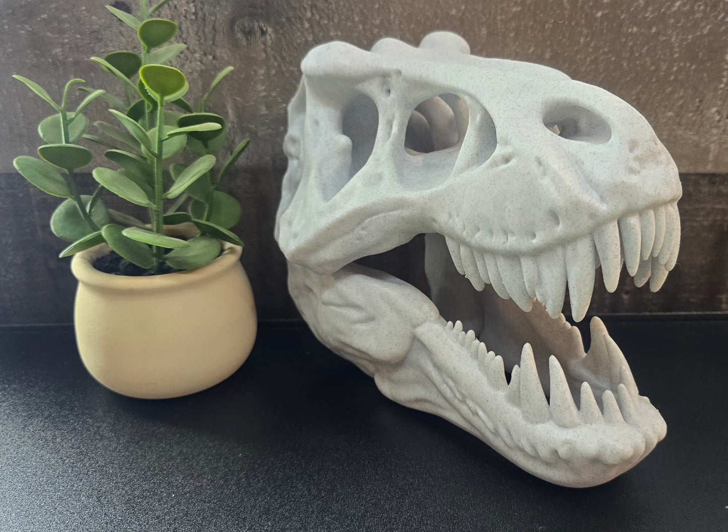 3D printed T-Rex skull